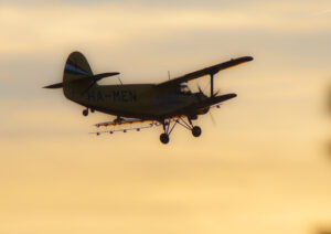 biplane in evening sky