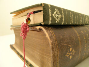 two leather-bound books for writers