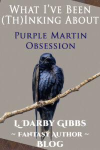 purple martin